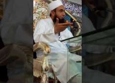 Maulana Tariq Jameel Sahab Latest bayan At Jamia Islamia Imdadia Faisalabad Islamic Lectures