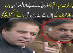 Shahbaz Sharif took a big Decision About Pmln